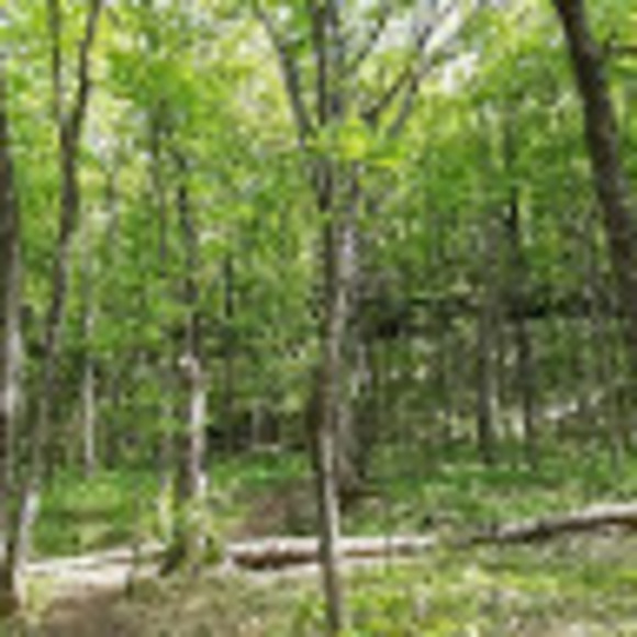 Meet your Posher, P - Picture 1 of 1